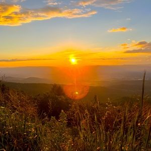 Meet your Posher, Jan